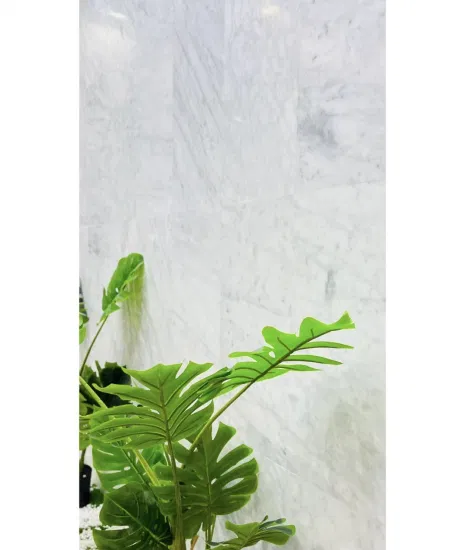 Natürlicher weißer Carrara-Marmor für Küchenbadezimmer-Arbeitsplatten, Steinwaschbecken, Innen- und Außenwand, Heimdekoration